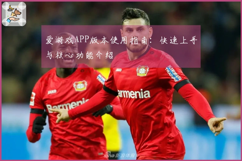 爱游戏APP版本使用指南：快速上手与核心功能介绍